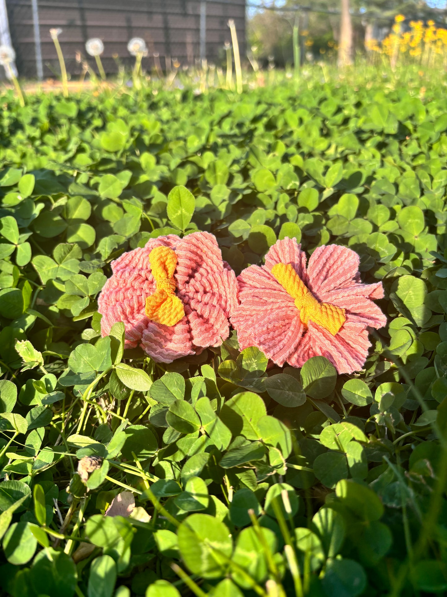 Flower Piggies